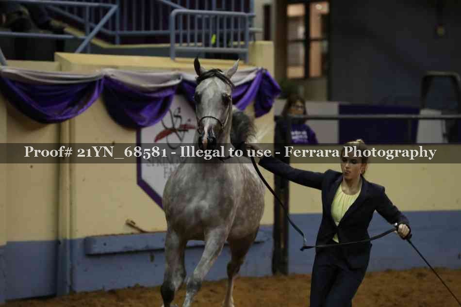 Proof Number 21YN_68581