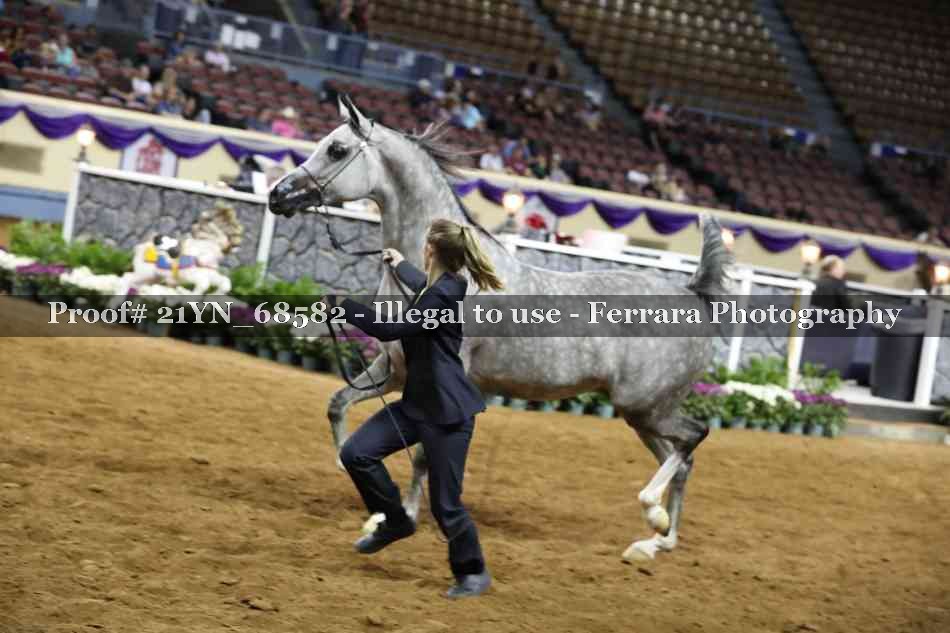 Proof Number 21YN_68582