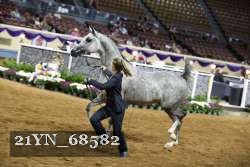 21YN_68582 thumbnail