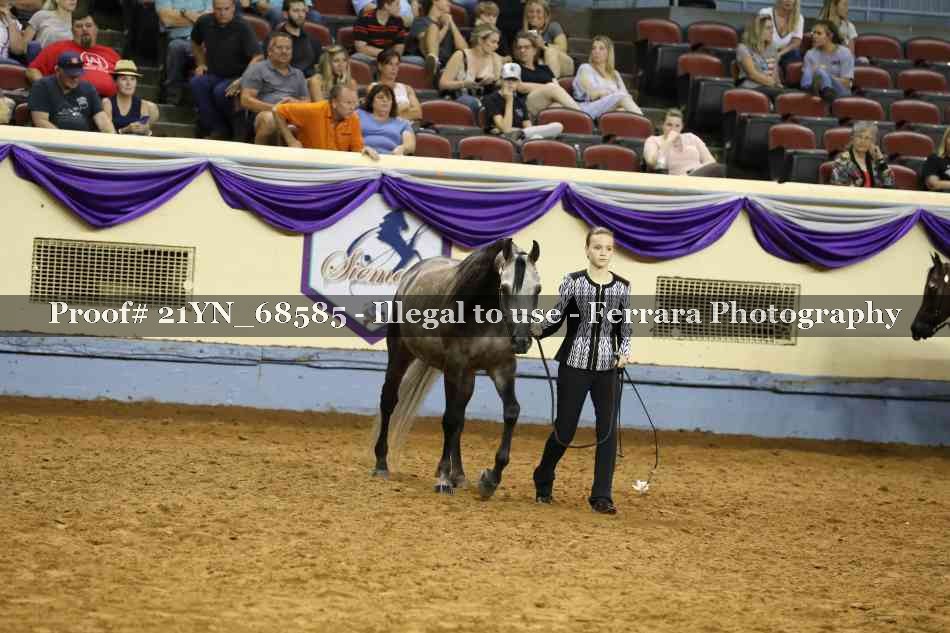 Proof Number 21YN_68585