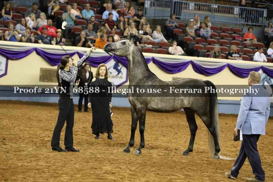Proof Number 21YN_68588