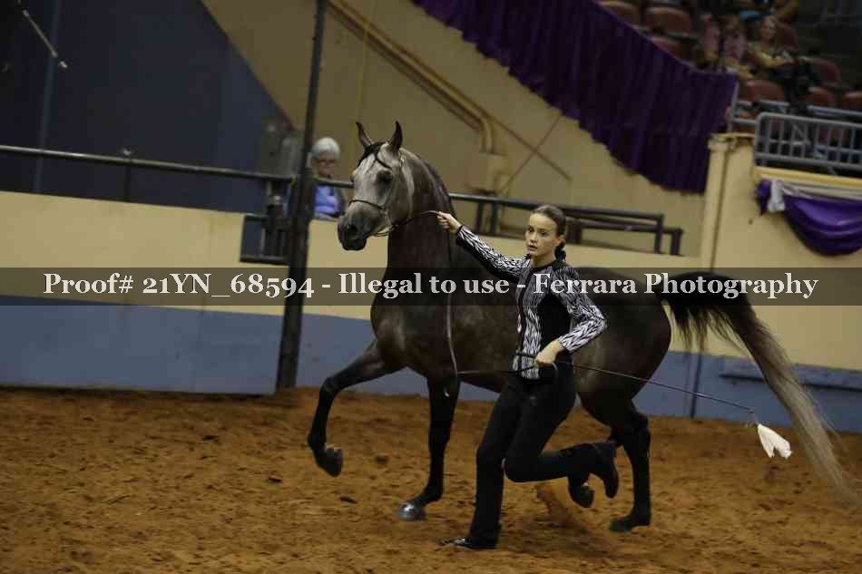 Proof Number 21YN_68594