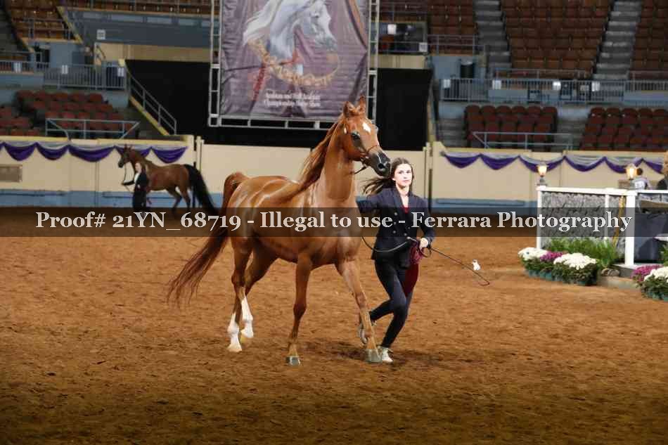 Proof Number 21YN_68719