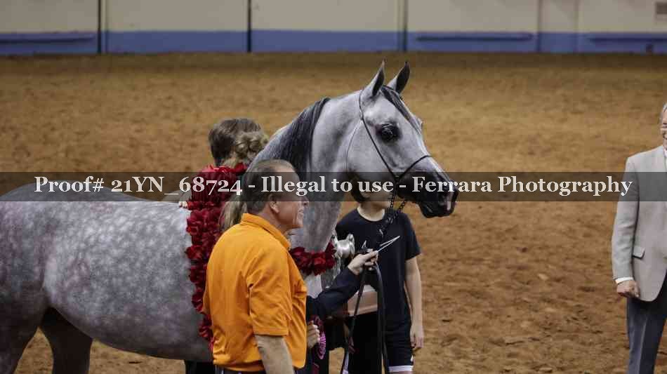Proof Number 21YN_68724