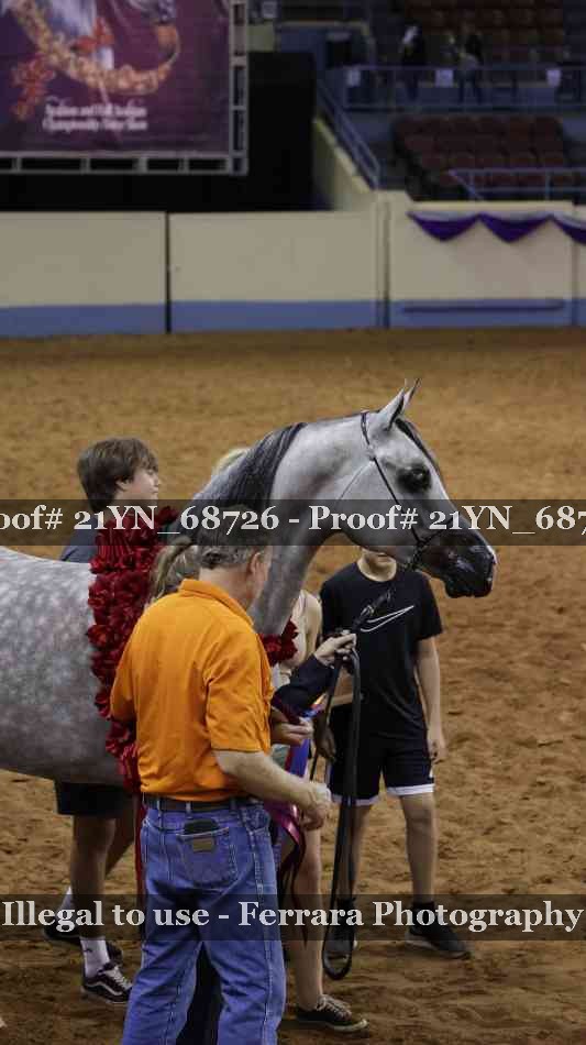 Proof Number 21YN_68726