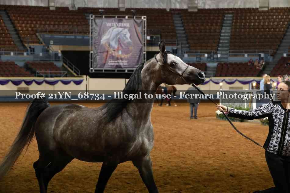 Proof Number 21YN_68734