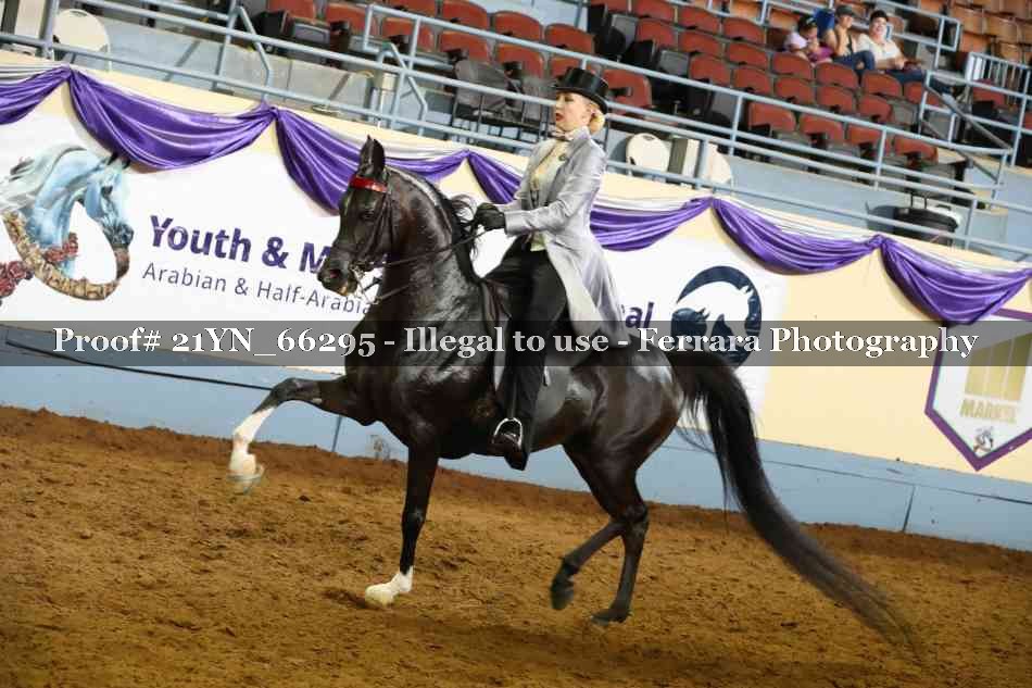 Proof Number 21YN_66295