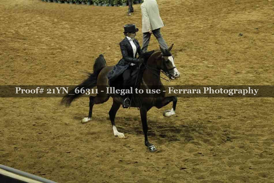 Proof Number 21YN_66311