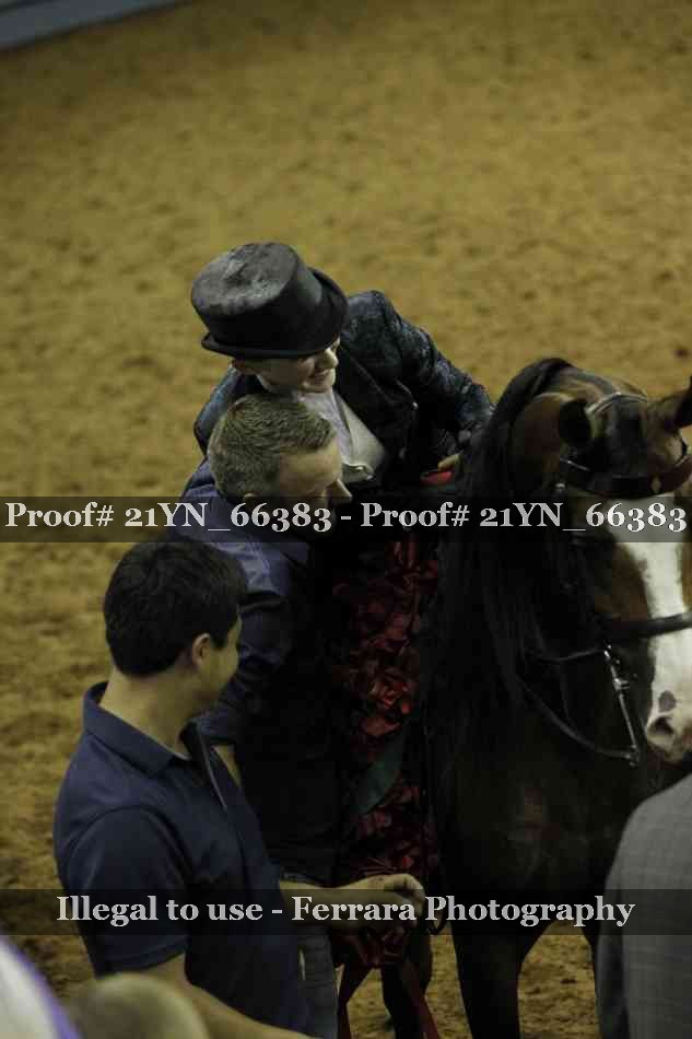 Proof Number 21YN_66383