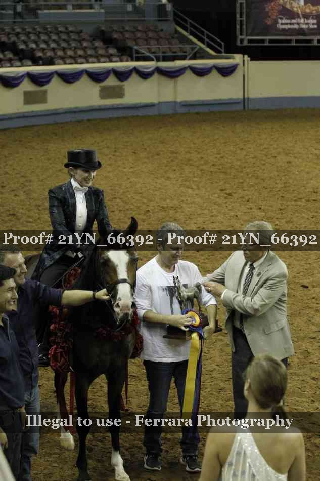 Proof Number 21YN_66392