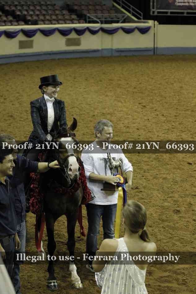 Proof Number 21YN_66393