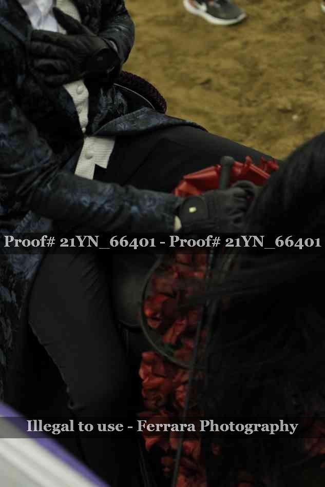 Proof Number 21YN_66401