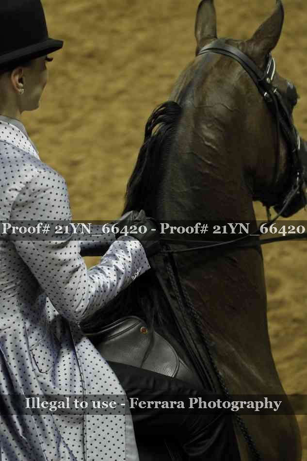 Proof Number 21YN_66420