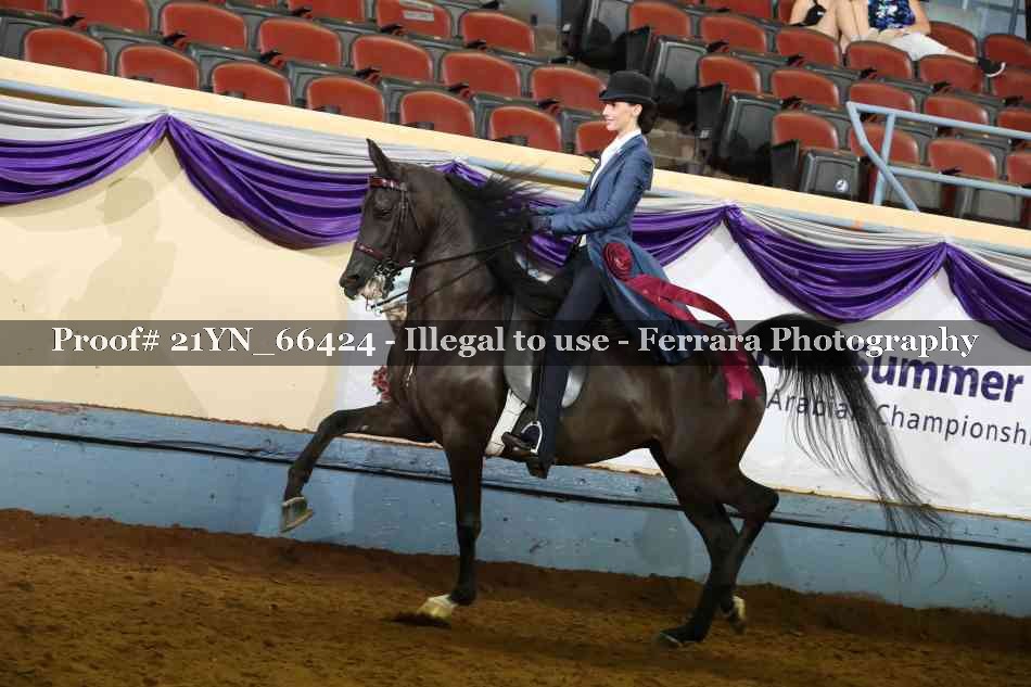 Proof Number 21YN_66424