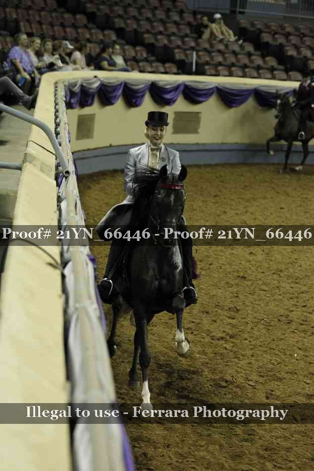 Proof Number 21YN_66446
