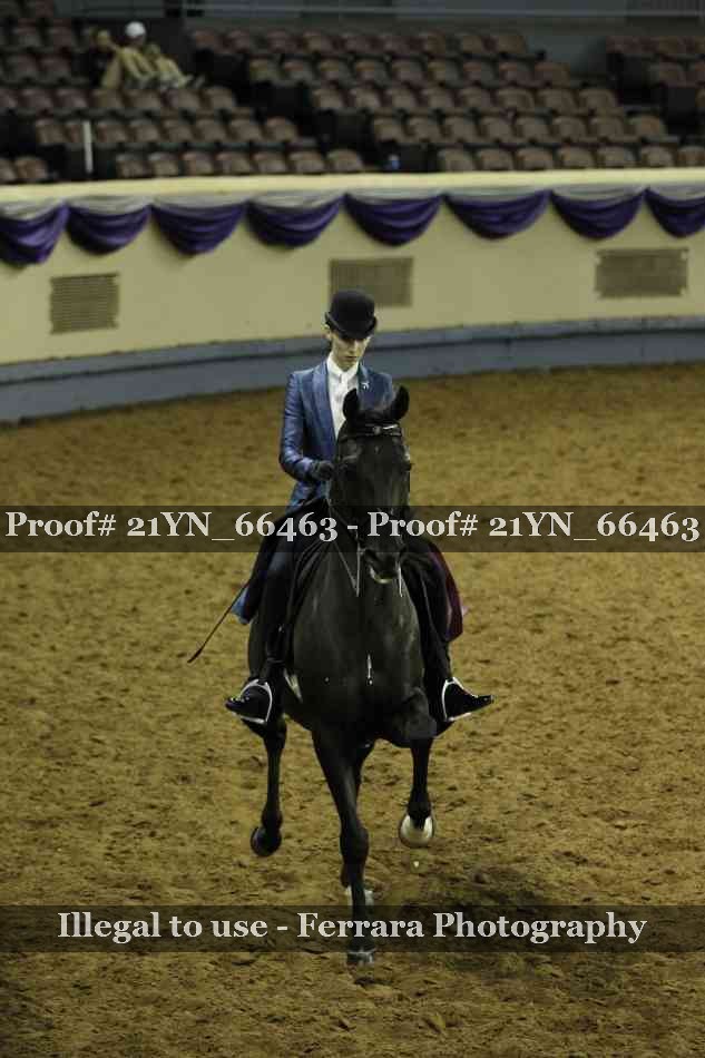 Proof Number 21YN_66463