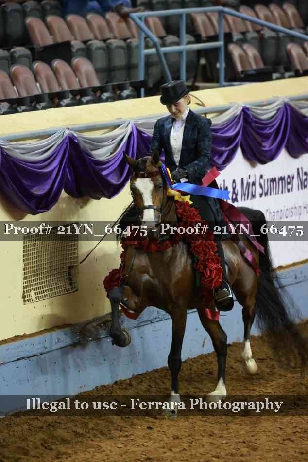 Proof Number 21YN_66475