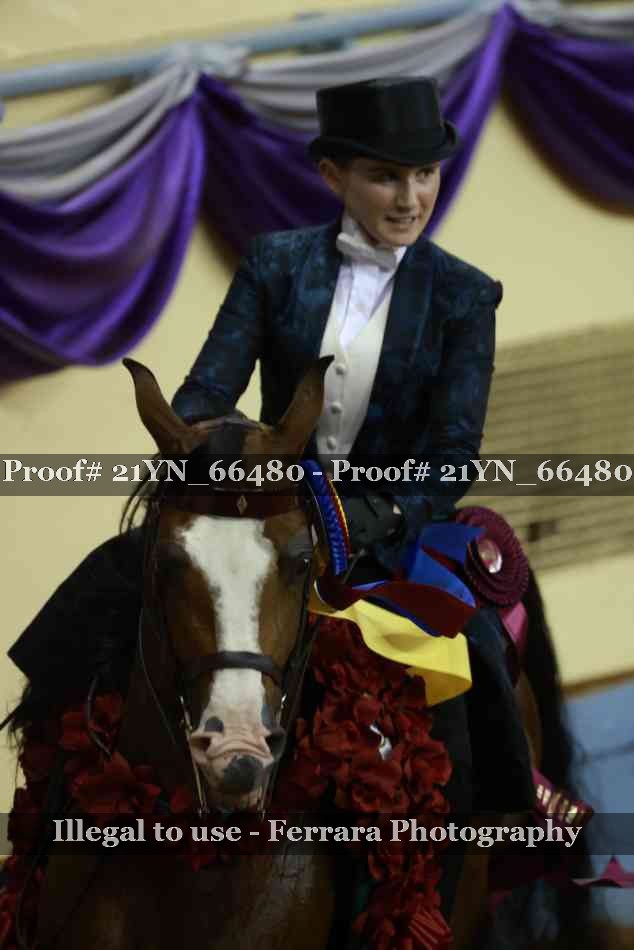 Proof Number 21YN_66480