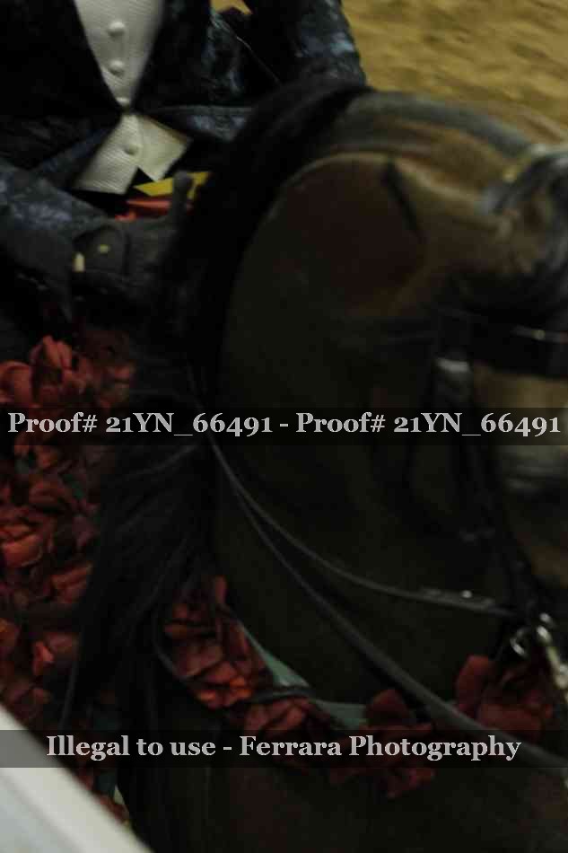 Proof Number 21YN_66491