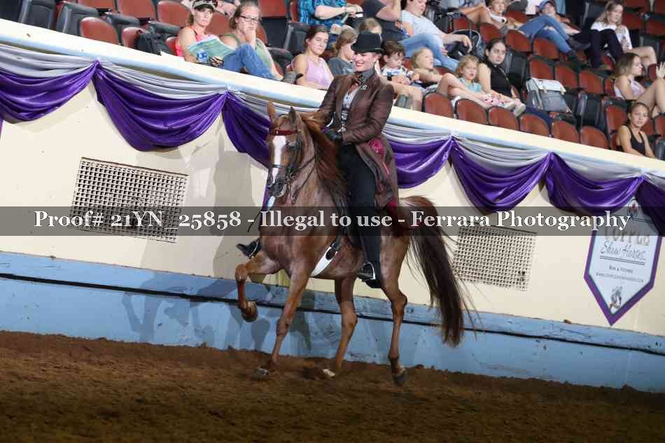 Proof Number 21YN_25858