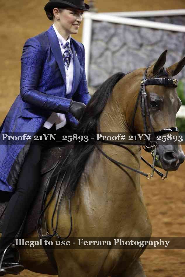 Proof Number 21YN_25893