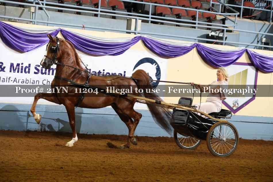Proof Number 21YN_11204