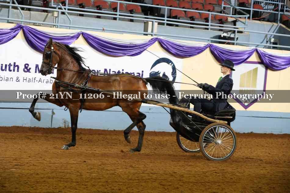 Proof Number 21YN_11206