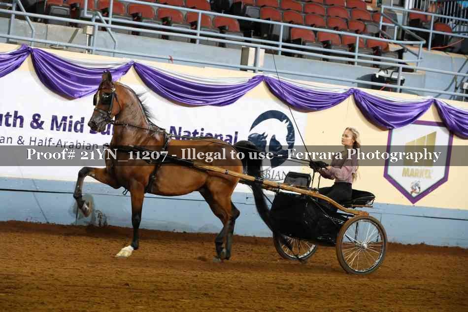 Proof Number 21YN_11207