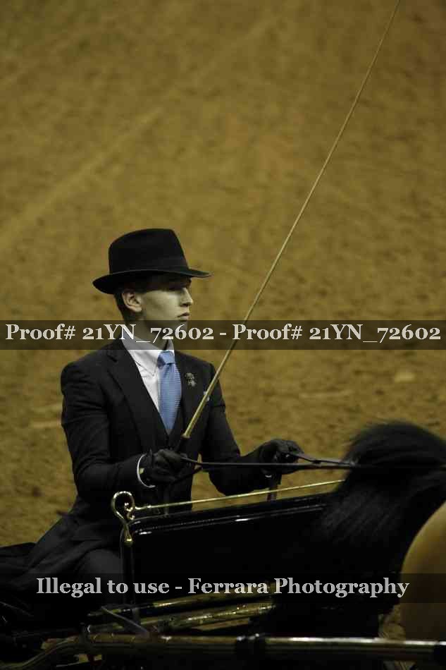 Proof Number 21YN_72602