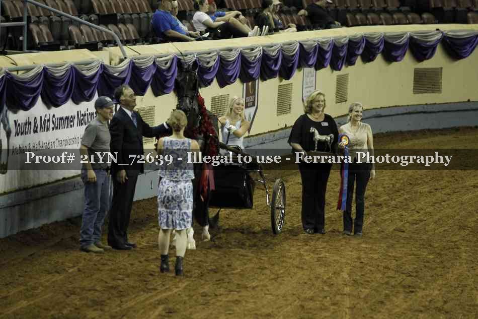 Proof Number 21YN_72639