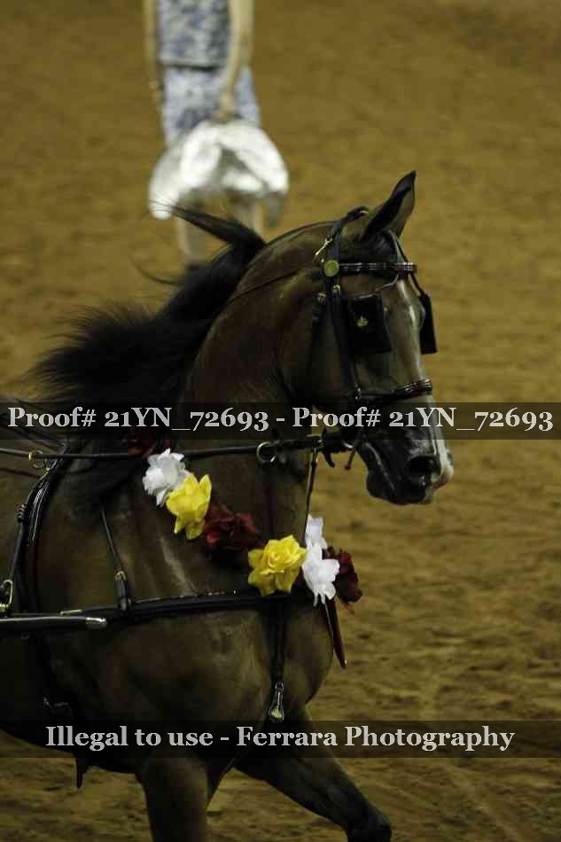 Proof Number 21YN_72693