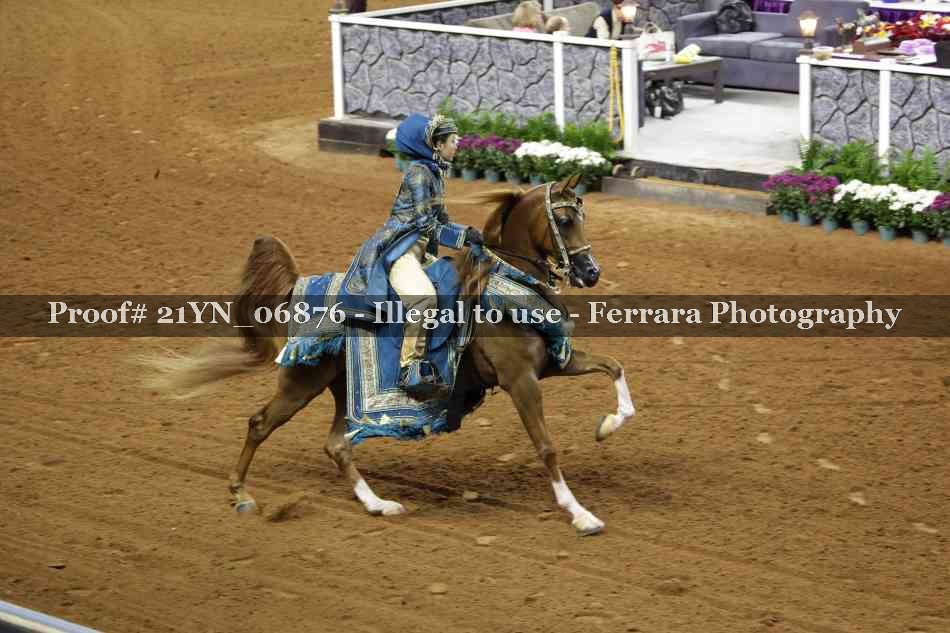 Proof Number 21YN_06876