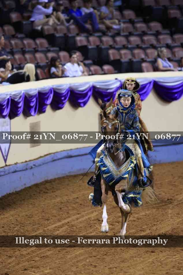 Proof Number 21YN_06877