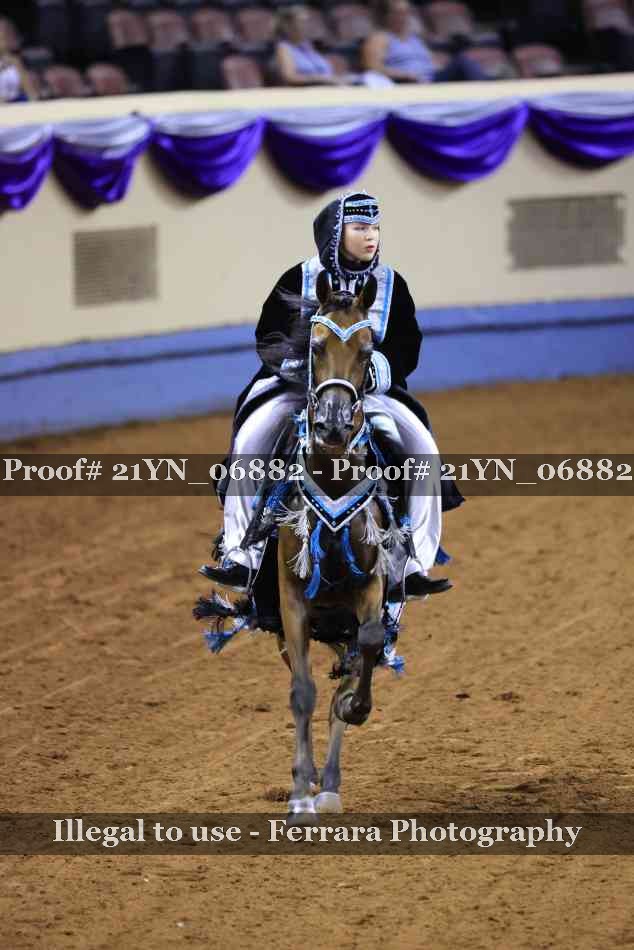 Proof Number 21YN_06882