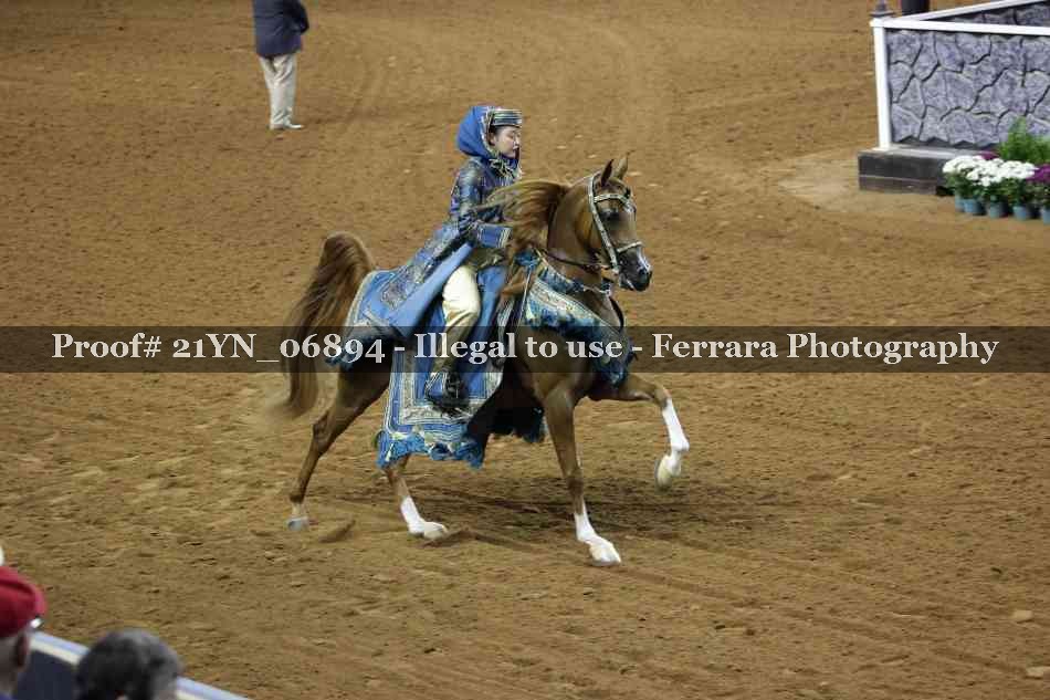 Proof Number 21YN_06894