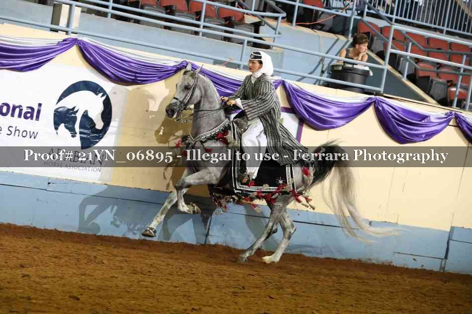 Proof Number 21YN_06895