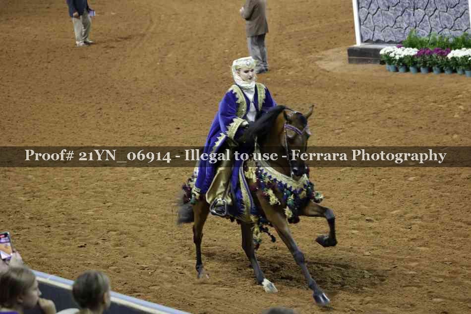 Proof Number 21YN_06914