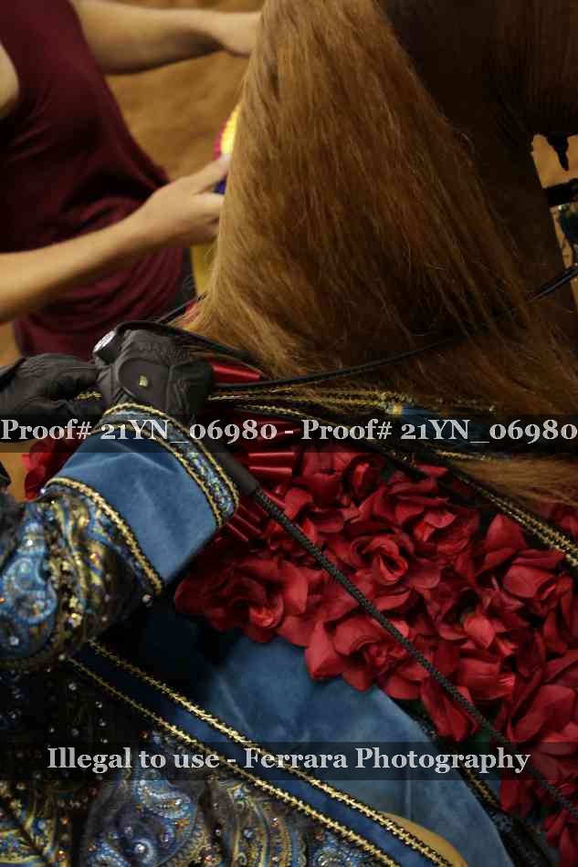 Proof Number 21YN_06980