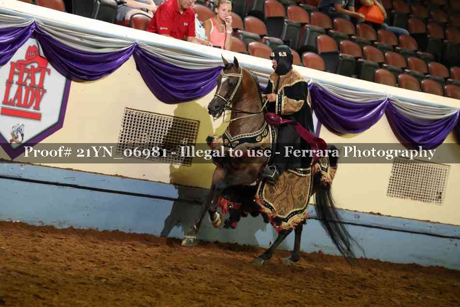 Proof Number 21YN_06981