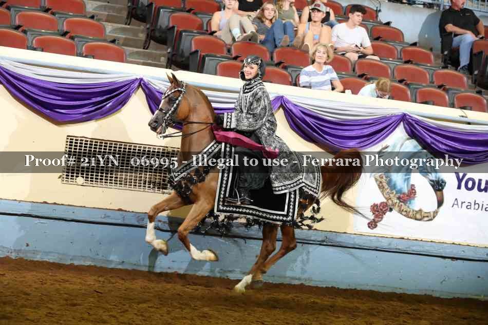 Proof Number 21YN_06995