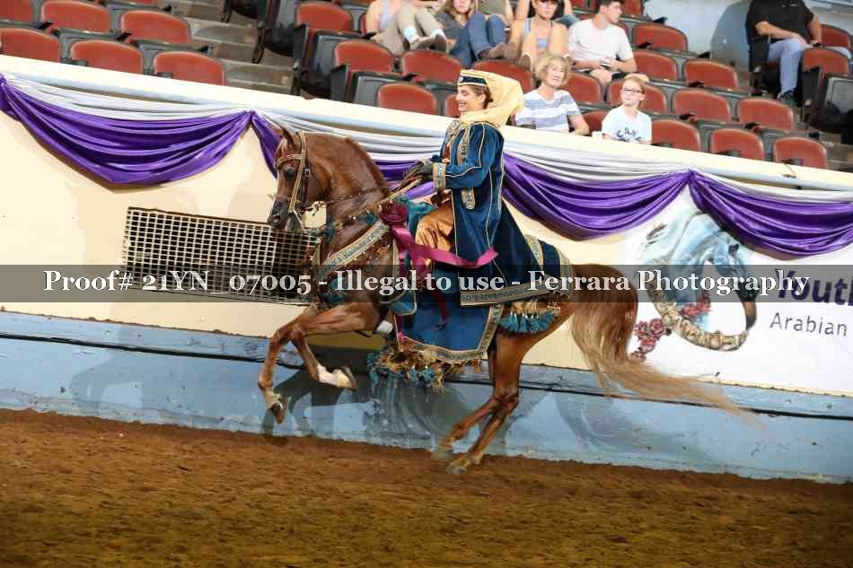 Proof Number 21YN_07005