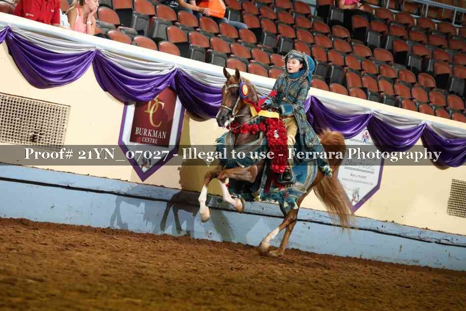 Proof Number 21YN_07027