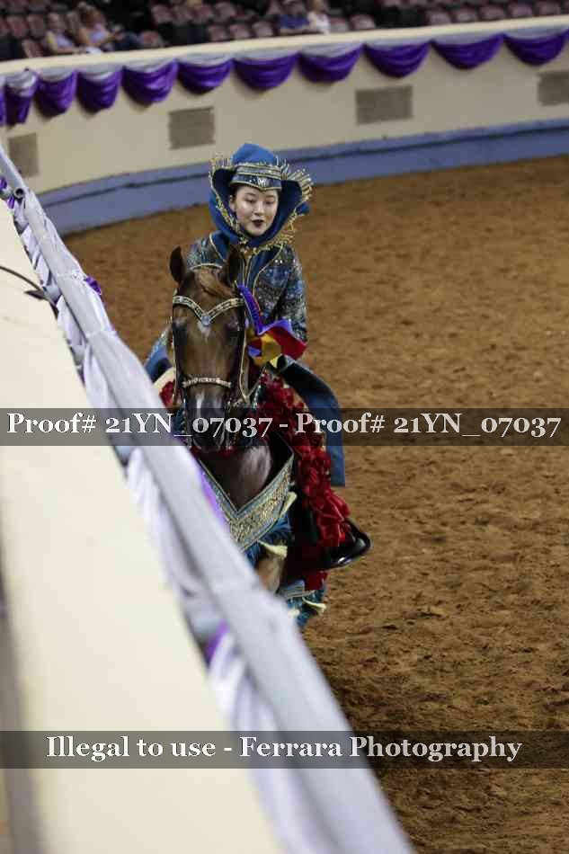 Proof Number 21YN_07037