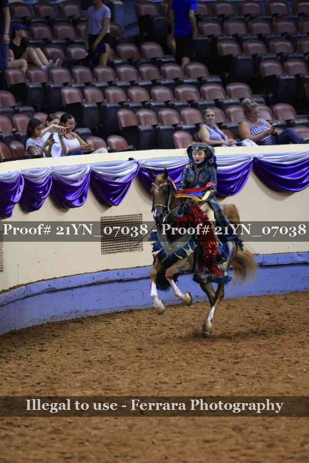 Proof Number 21YN_07038