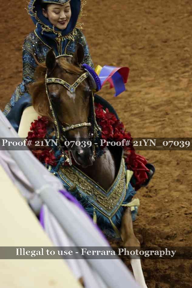 Proof Number 21YN_07039