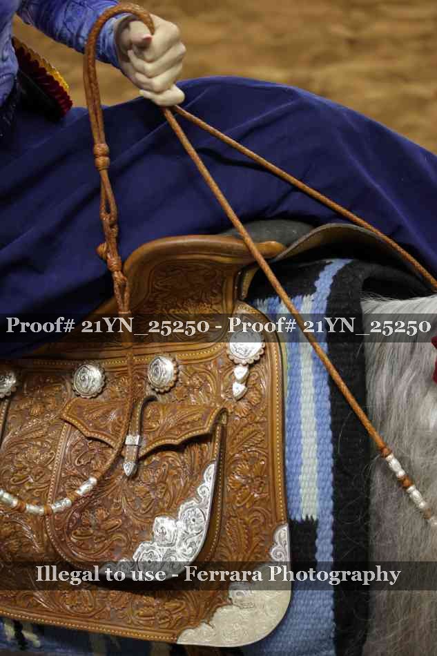 Proof Number 21YN_25250