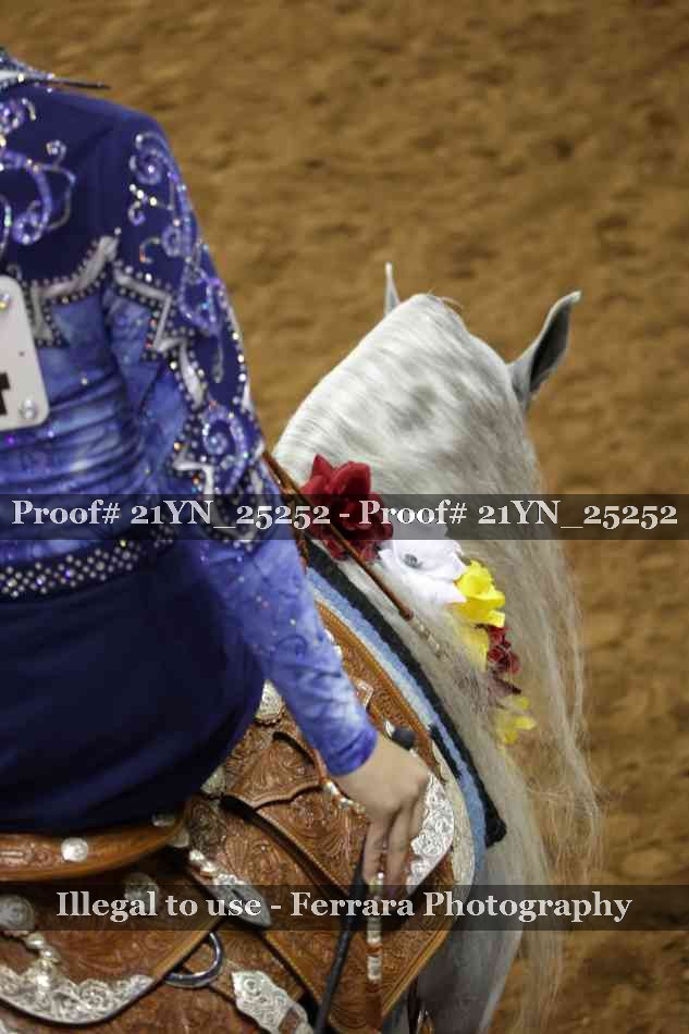 Proof Number 21YN_25252