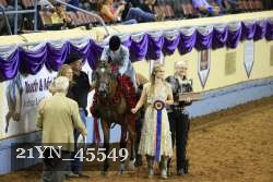 21YN_45549 thumbnail
