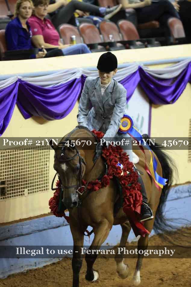 Proof Number 21YN_45670