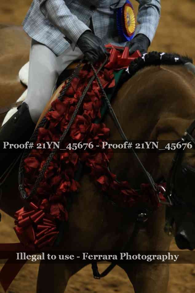 Proof Number 21YN_45676